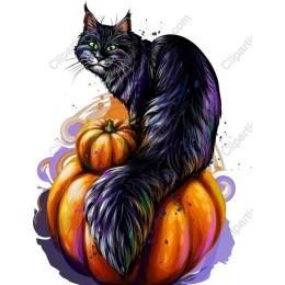 Black Cat on Pumpkin work