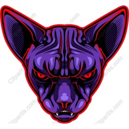 Vibrant Sphynx Cat