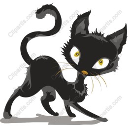 Charming Black Cat