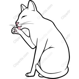 Playful Cat