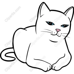 Charming White Cat