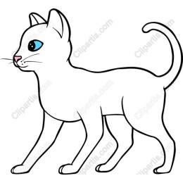 Charming White Cat