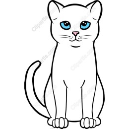 Charming White Cat
