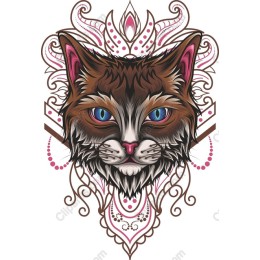 Elegant Cat Head