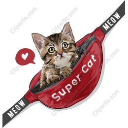 Super Cat in Fanny Pack