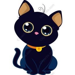 Adorable Black Cat
