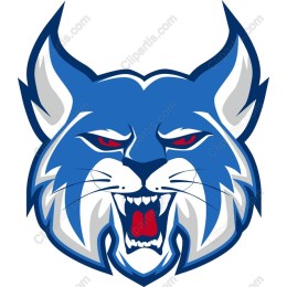 Lynx Mascot