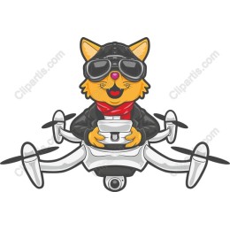 Aviator Cat with Drone