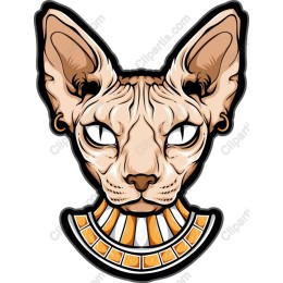 Elegant Sphynx Cat