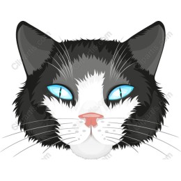  Cat Face in Black and White