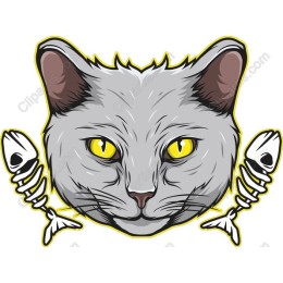 Gray Cat with Fish Bones