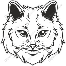 Majestic Feline Face