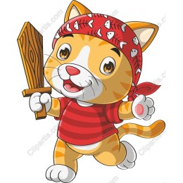 Pirate Cat