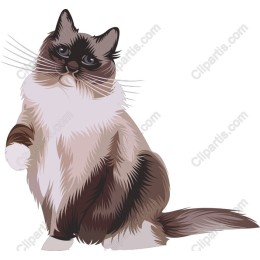 Charming Cat