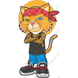 Tough Street Cat