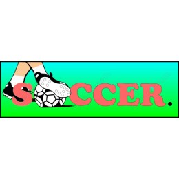 Dynamic Soccer