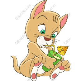 Charming Cat with Tropical Drink