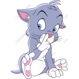 Playful Kitten