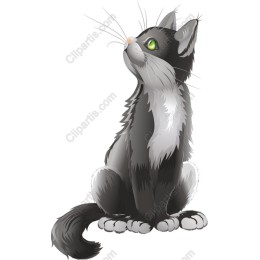 Elegant Feline