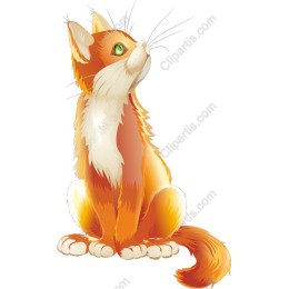 Charming Orange Cat
