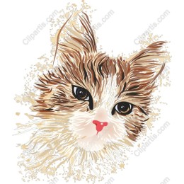 Adorable Cat
