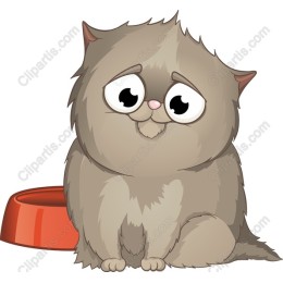 Adorable Fluffy Cat
