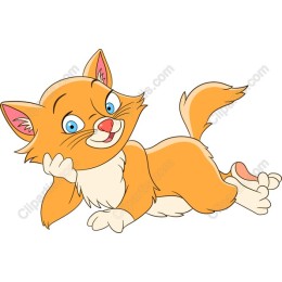 Charming Cat