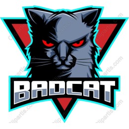 Bad Cat