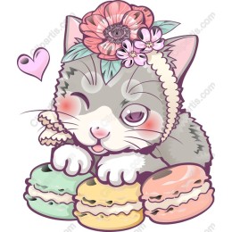 Charming Cat with Macarons