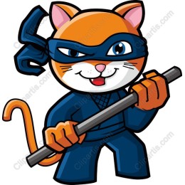 Ninja Cat