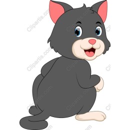 Playful Black Cat