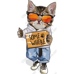 Cool Cat on the Go