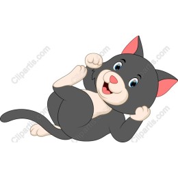 Playful Gray Kitten