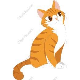 Playful Orange Cat