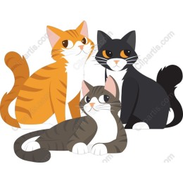 Trio of Feline Friends