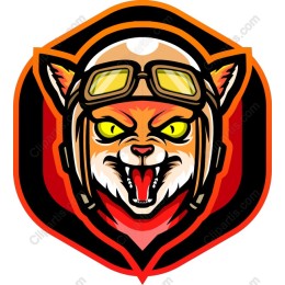 Fierce Aviator Cat