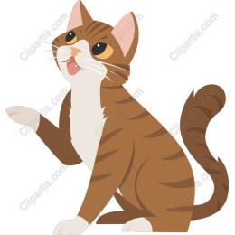 Playful Cat