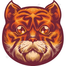 Vibrant Cat Face