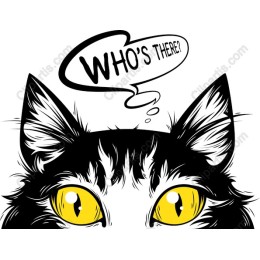 Who's There? Cat
