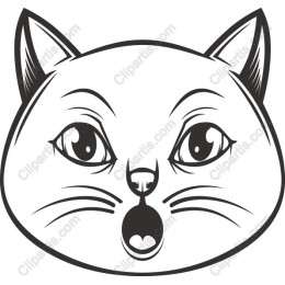 Surprised Cat Face