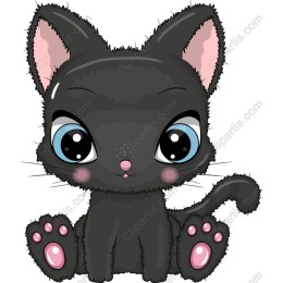Cute Black Kitten