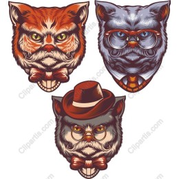 Dapper Feline Collection