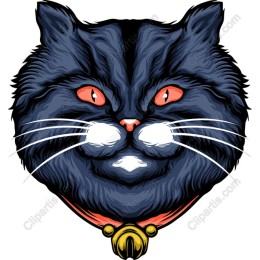 Mysterious Cat