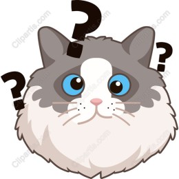 Curious Cat