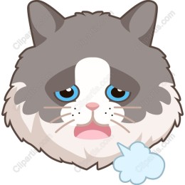 Cute Cat Face