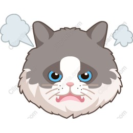 Grumpy Cat Face