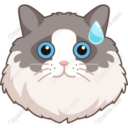 Fluffy Cat Face