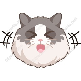 Joyful Cat Face