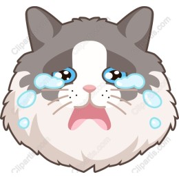Crying Cat