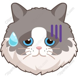 Sad Cat
